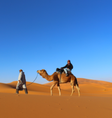 Camel Ride in Sahara Desert Morocco